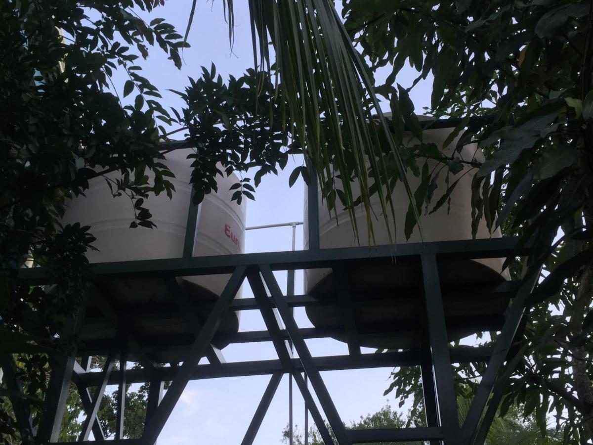 Hotel One Love Puerto Viejo Puerto Viejo de Talamanca Exteriör bild